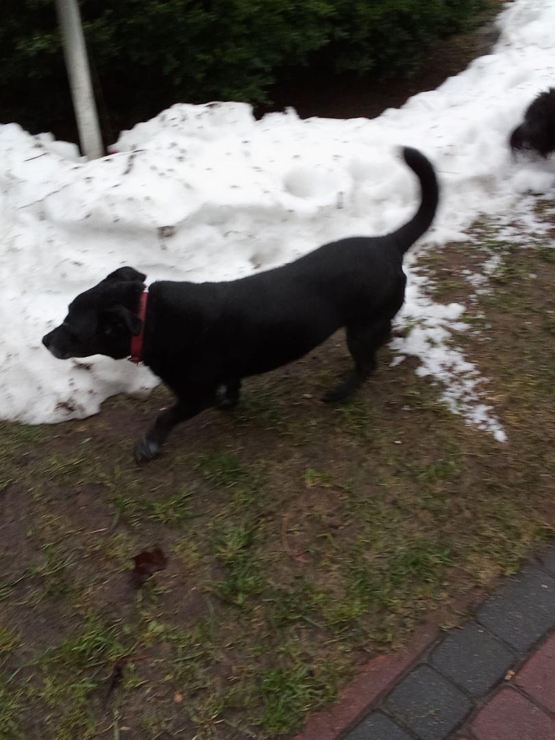 image.thumb.jpeg.7a141dc694d40fd64096aea17b58b662.jpeg