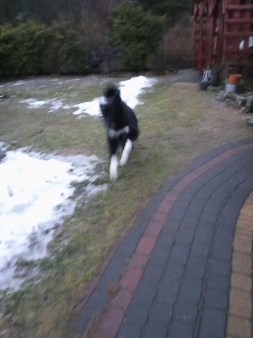 image.thumb.jpeg.8e1c321080314aff40894d96ccd5b759.jpeg