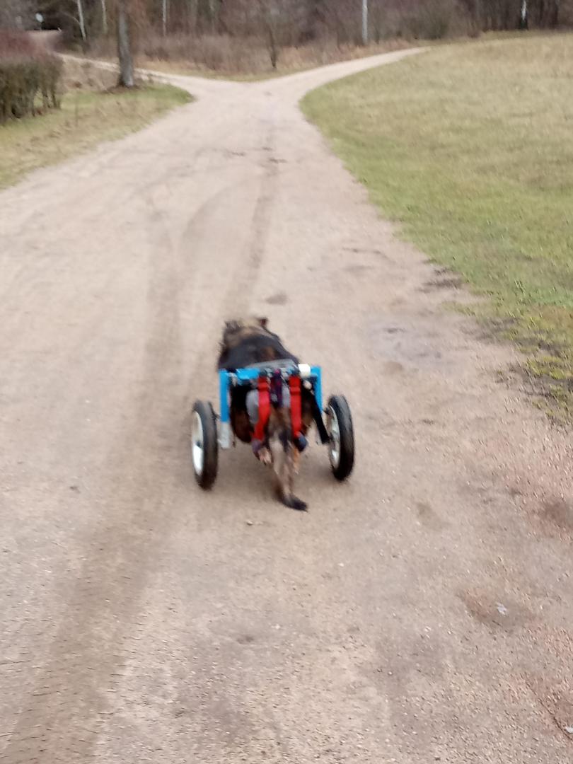 image.thumb.jpeg.925957d06430a25082d9c7a08aa1f590.jpeg