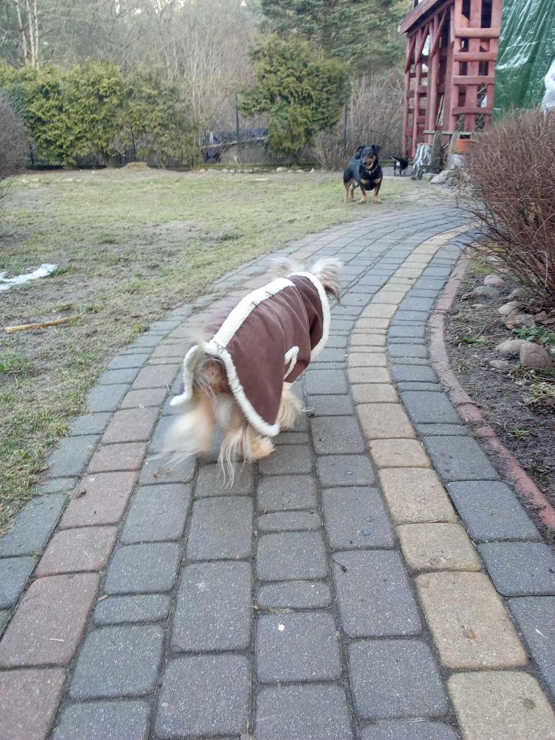image.thumb.jpeg.a20d87db1760b4785d224e3f67274b22.jpeg