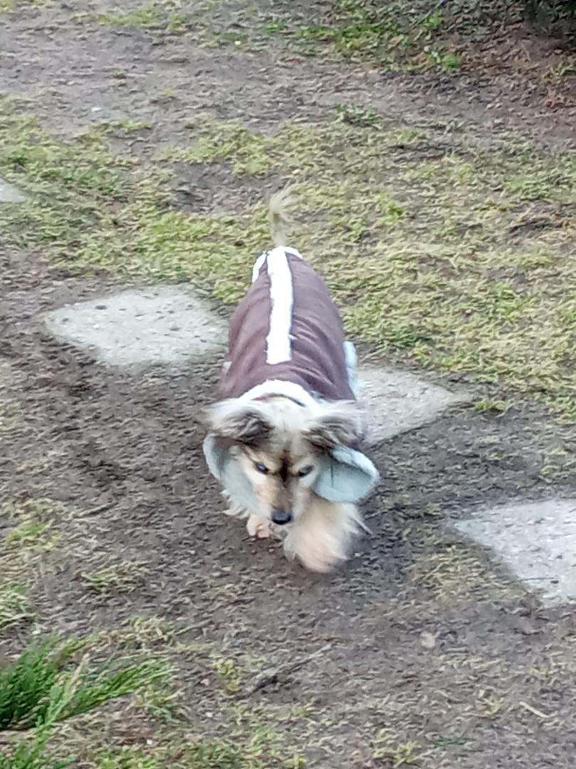 image.thumb.jpeg.b008c5806332887b61ca015d7ae9088d.jpeg
