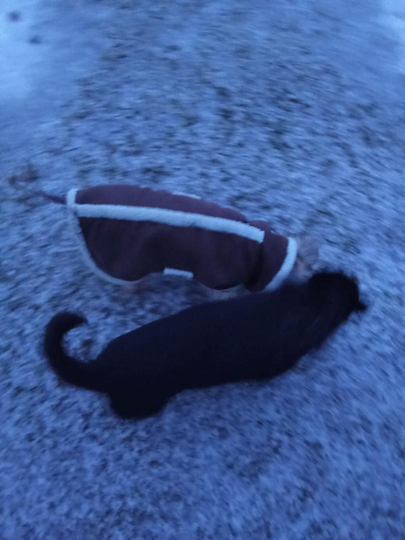 image.thumb.jpeg.b05c1709c96e730a885115b55e5e2d31.jpeg
