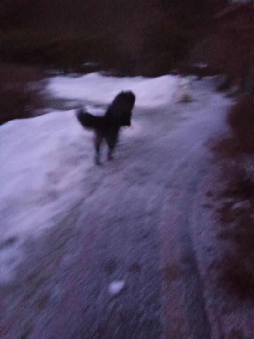 image.thumb.jpeg.db2657b8b6bd96e923384a7719f41b87.jpeg