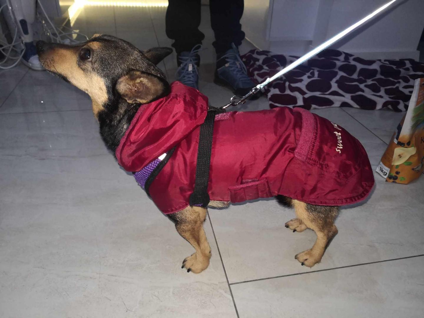 received_381471951253705.jpeg