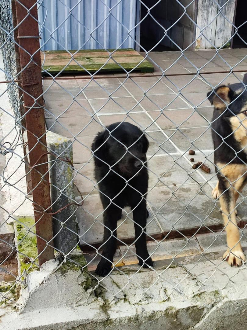 IMG-20240305-WA0031.jpg