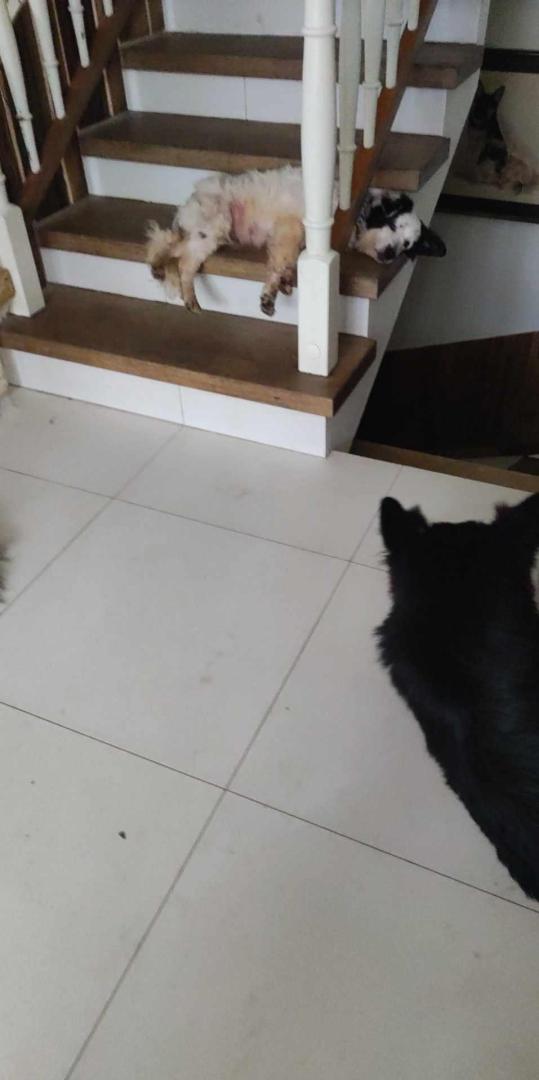 image.thumb.jpeg.761113e0ba0f560882ae2674b7ded7f1.jpeg