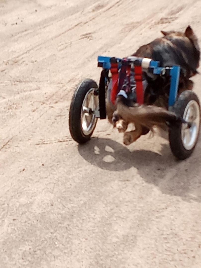 image.thumb.jpeg.ce64a5d01e26451b9517c03f530f3187.jpeg