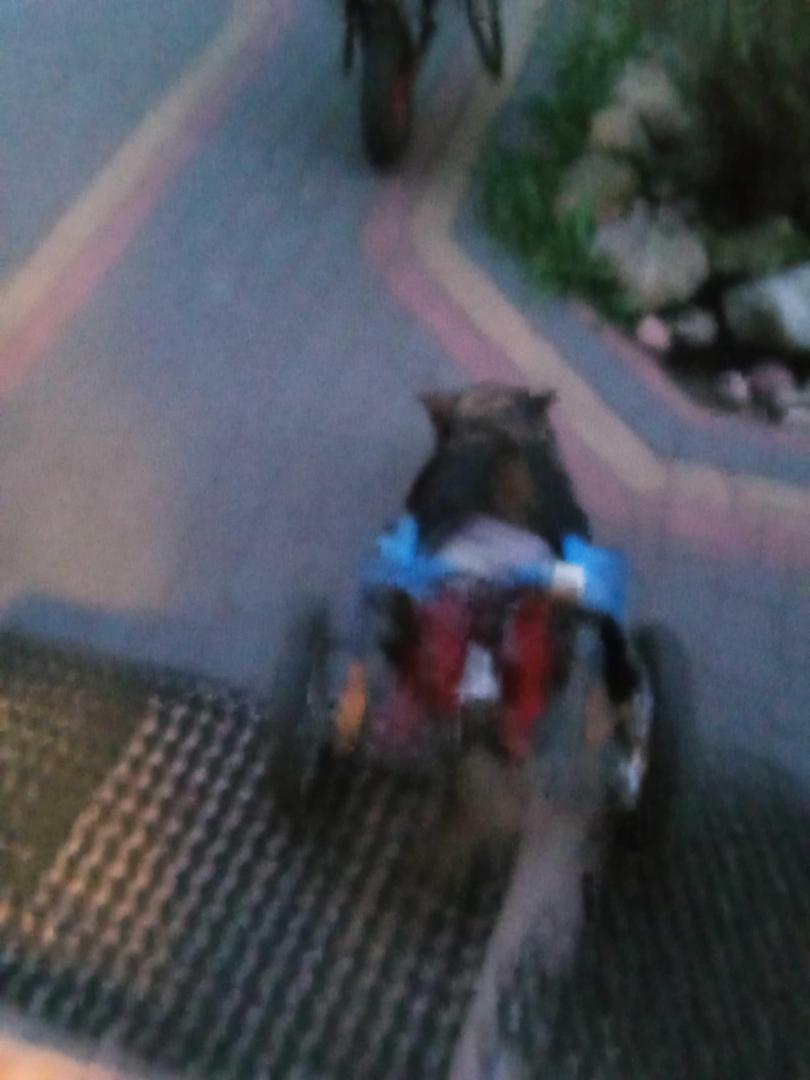 image.thumb.jpeg.443f38786e8cfc67779578a951549478.jpeg