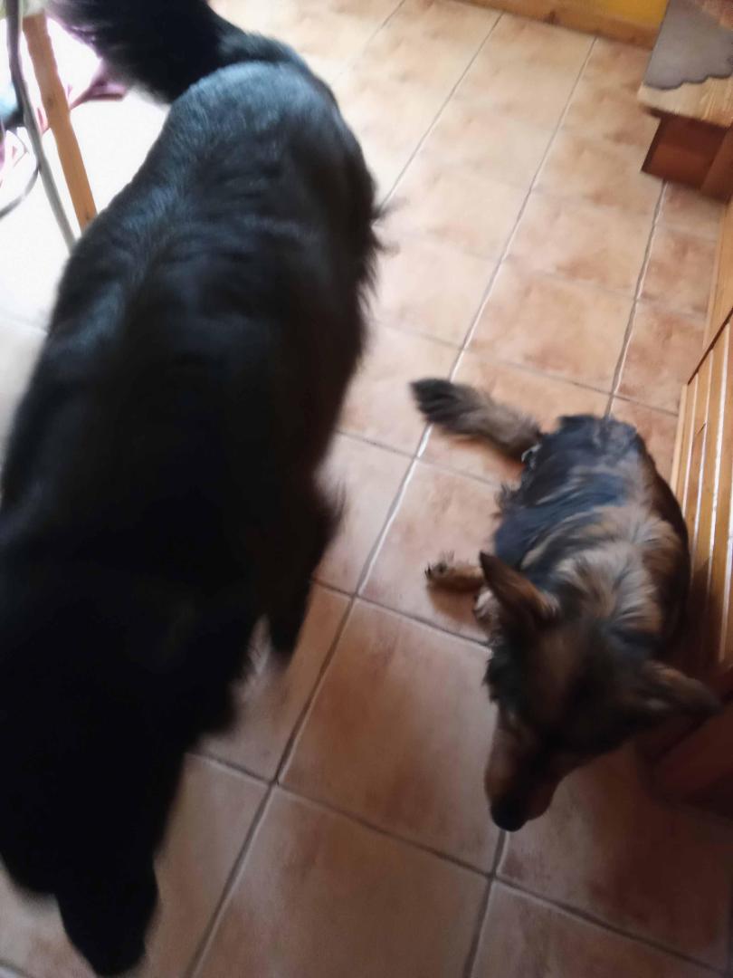 image.thumb.jpeg.6d0cf61132f26887b3c4d710afd6ca22.jpeg