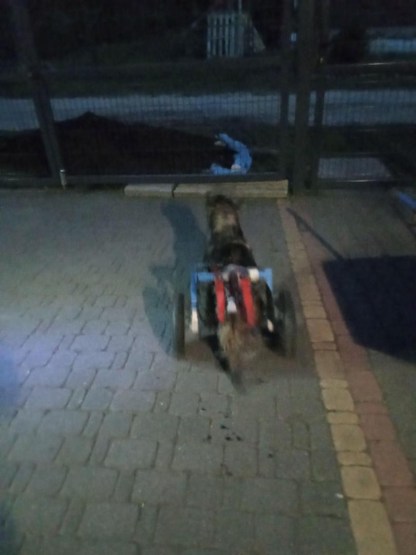 image.thumb.jpeg.80176fe7abd8a060840df0fa52bf4379.jpeg