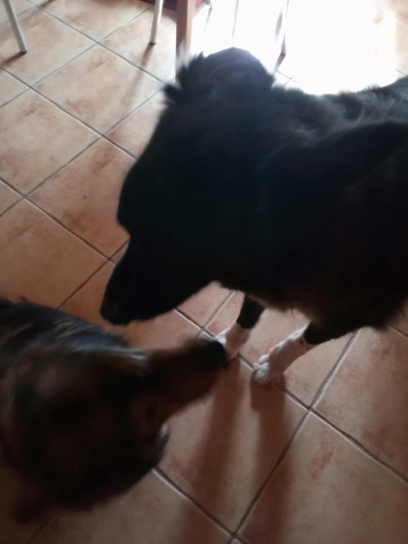 image.thumb.jpeg.d6cffe834d52d58d92d941c88fd170f5.jpeg