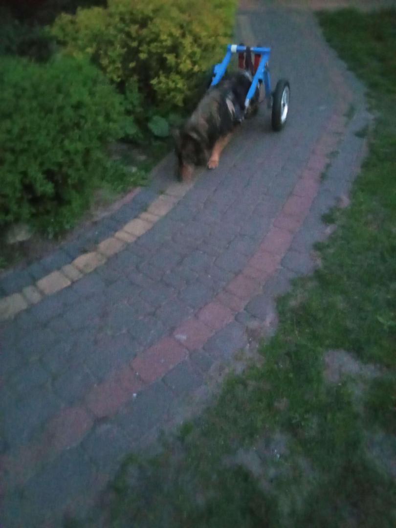 image.thumb.jpeg.e73d997704e9e691b525273404fbe578.jpeg