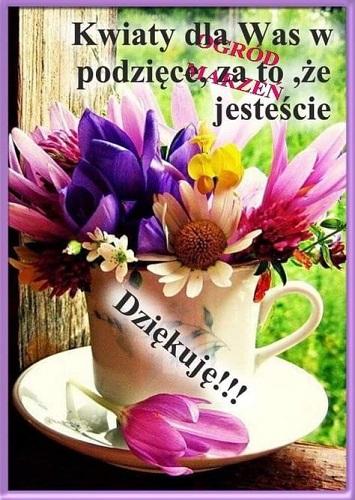 Dzikizatoejestecie1.jpg.cf8c8904cc3c8f6136e5c4a71fabd09c.jpg