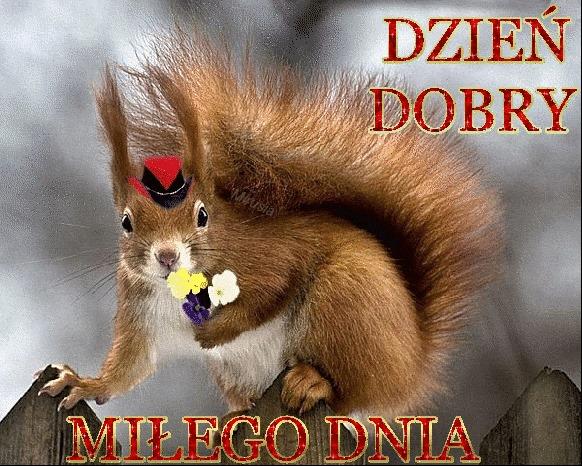 miegodnia..jpg.3d771daf0dff0ab1ad22f6d6e235bd81.jpg