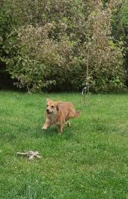 image000002(2).jpg.c73d76f47e4fa9603a80b3026682d7df.jpg