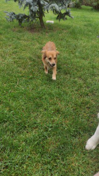 image000002(3).jpg.69e0d390d3b81f4d4c0483eae68c2249.jpg