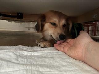 image000003(7).jpg.6cbdf2ce4e02ede0813a2bd820c422ef.jpg