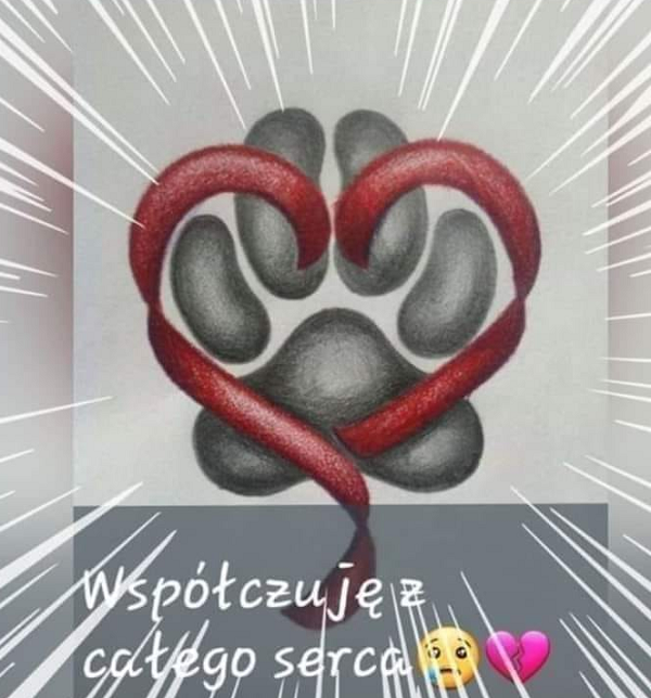 wspczujzserca.png.4cc77a8a580787012a6660f5bf23c687.png