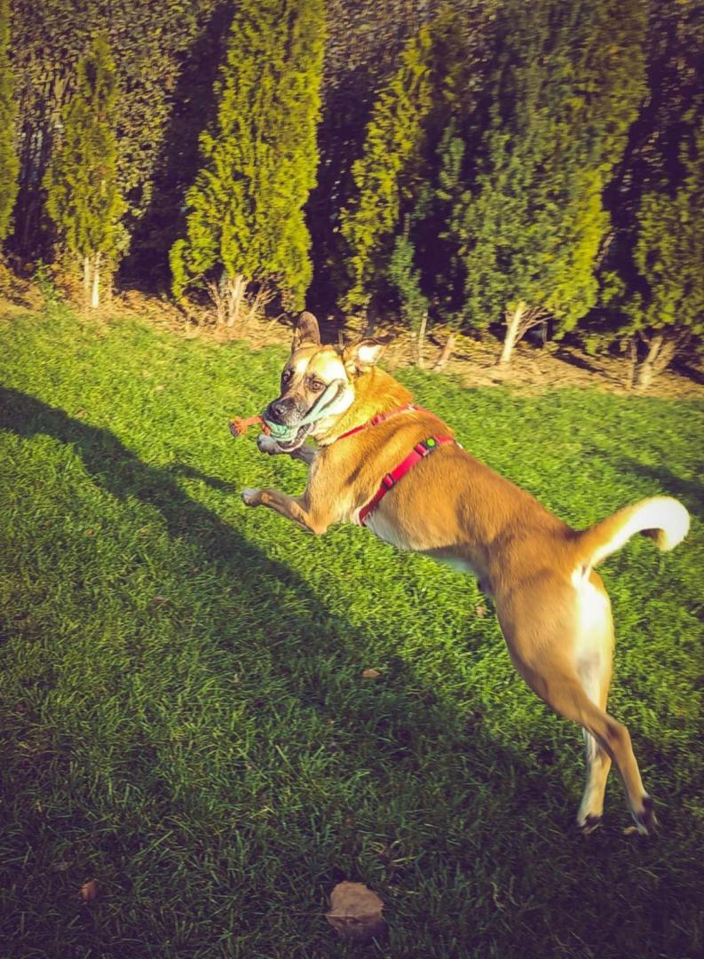 IMG_20241124_151434.jpg