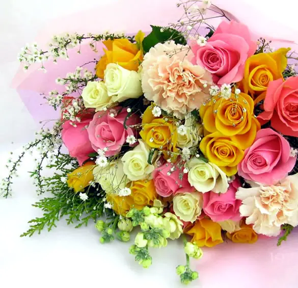 kwiaty_001.webp.cfdc2e841a28650f03a4362e81a45345.webp