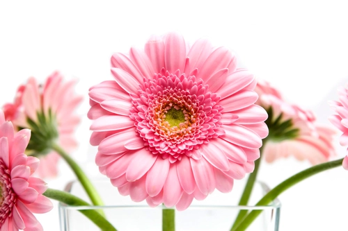 rowe.webp.b14ce5db02cf5ca69b08b0cb814596d9.webp