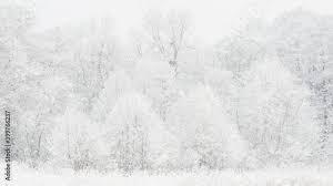 image.jpeg.1afdf571e32ce9240d0c48602e9129e2.jpeg