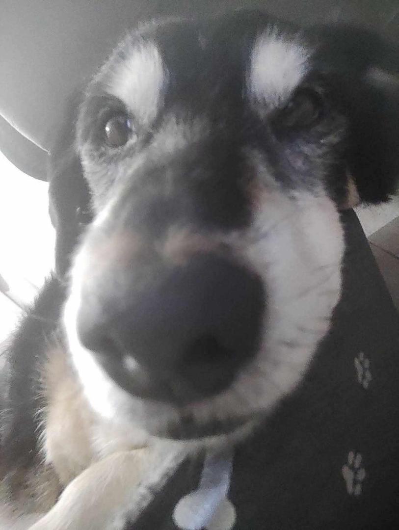 received_618153790797299.jpeg