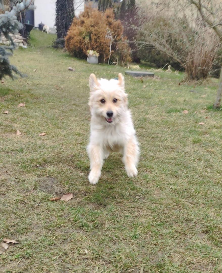 IMG-20250210-WA0013.thumb.jpg.7a1f298e4e5ae29e91f0939afc742c5f.jpg