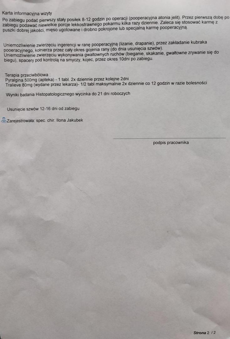 splenektomia 25 02 2 z 2.jpg