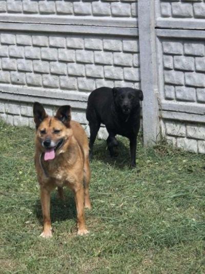 Beznazwy.jpg.ba20b9939f2993ba161b281f5f6feda7.jpg