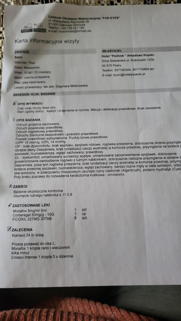 IMG-20260424-WA0003.jpg
