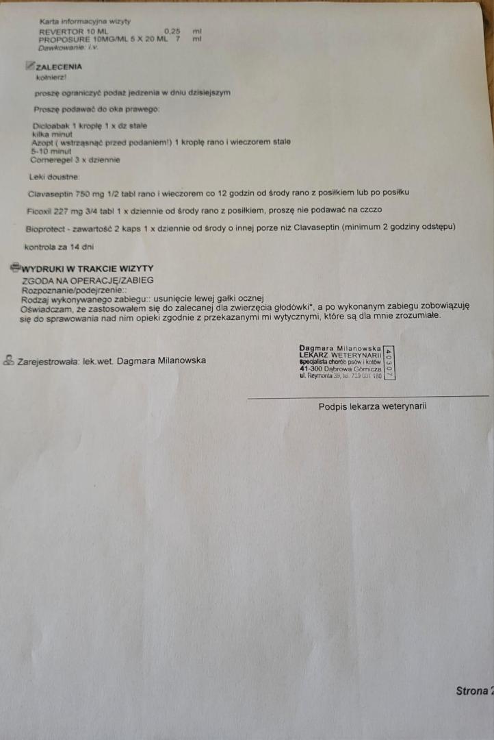 IMG-20260519-WA0013.jpg