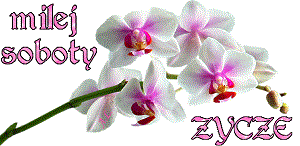 6-1.gif.15f134e543421eb5e265ce4298a03246.gif
