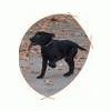 Dobrac