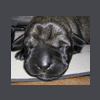 JORGUS