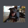 e_emi