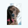 !zosia!