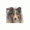 Martyna_Vercio