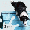 Jess