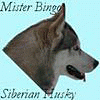 MB'SH