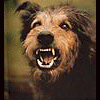 Ombra