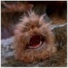 Fizzgig
