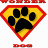 Wonder Dog