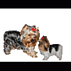 Mona4