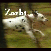 zorbka