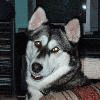 Aischa