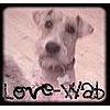 Love-Wab