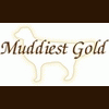 Muddiest-Gold