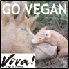 go_vegan
