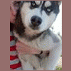 nzbdn`a.